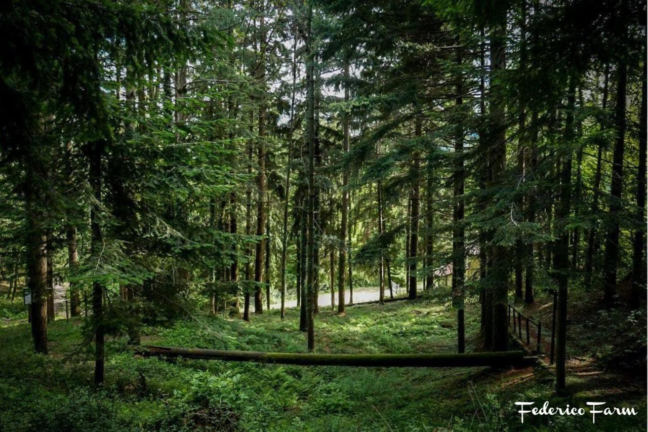 Camping Grondola - Federicofarm بونتريمولي المظهر الخارجي الصورة