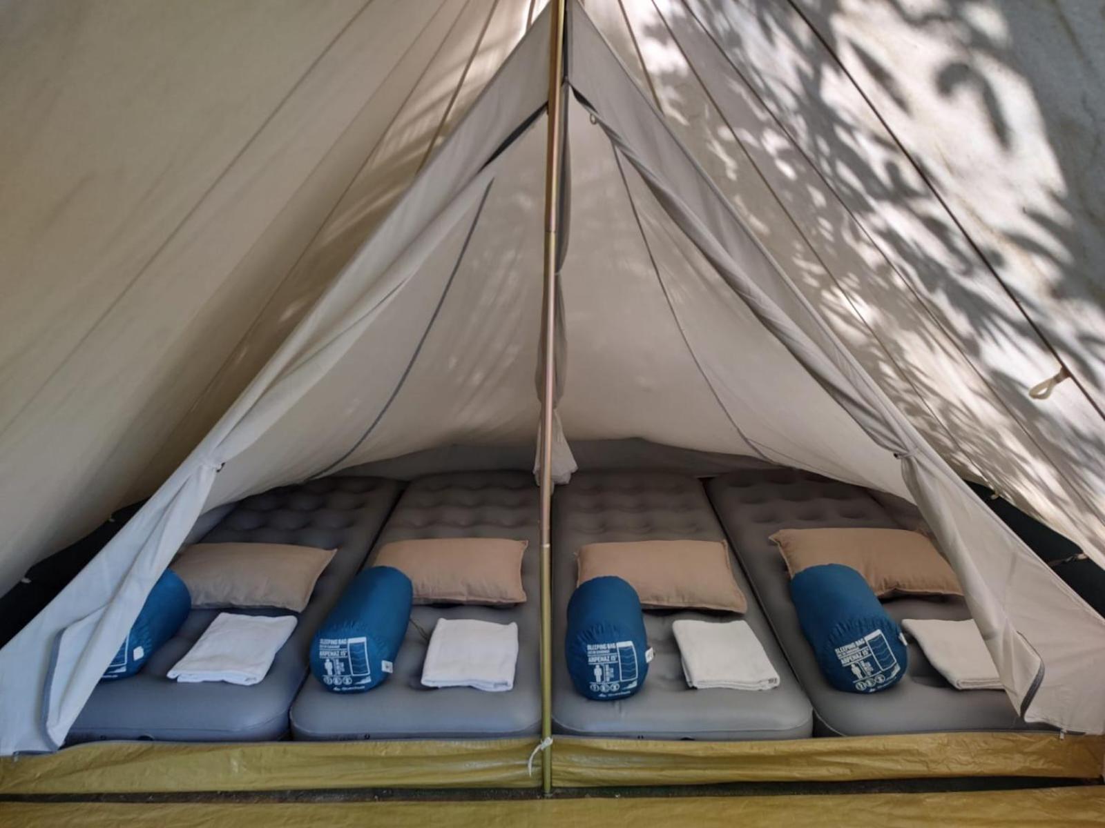 Camping Grondola - Federicofarm بونتريمولي الغرفة الصورة